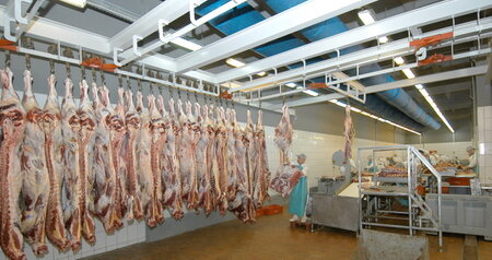 Дезинсекция на мясокомбинате в Орехово-Зуево, цены на услуги