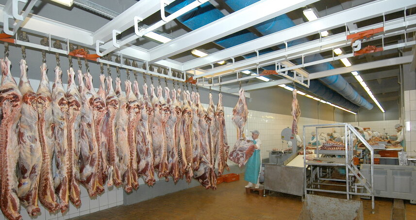 Дезинсекция на мясокомбинате в Орехово-Зуево, цены на услуги